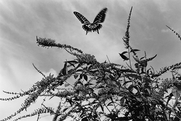 尾仲浩二「Slow Boat」