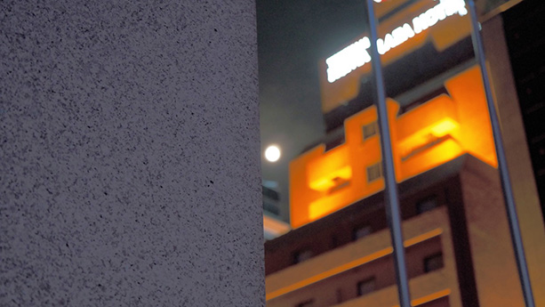 山田悠 / Haruka Yamada ｜Nocturne